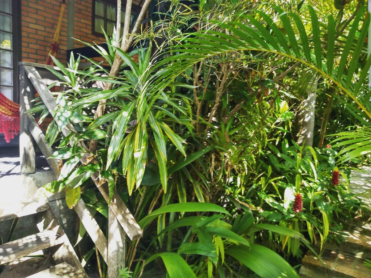Morada Crisalida Hotel Praia do Rosa Exterior photo